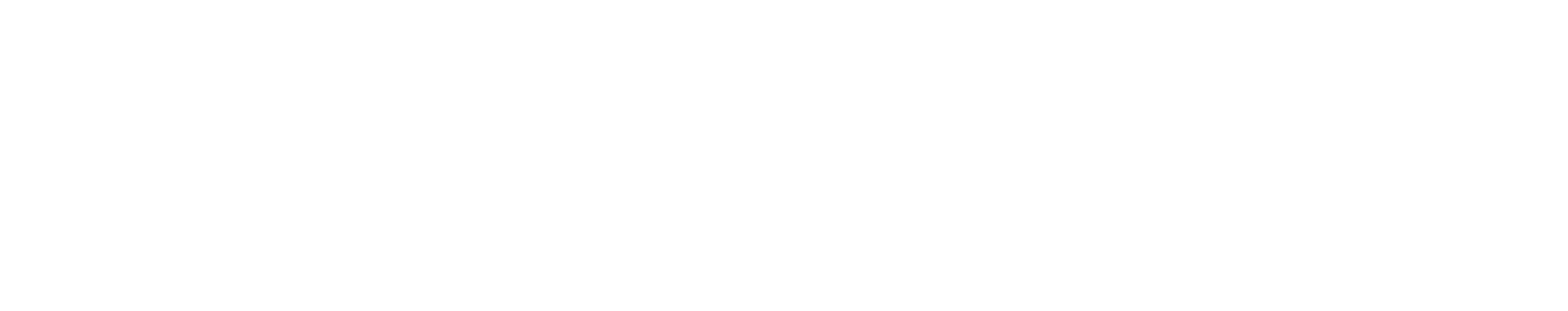 Envizia wordmark logo