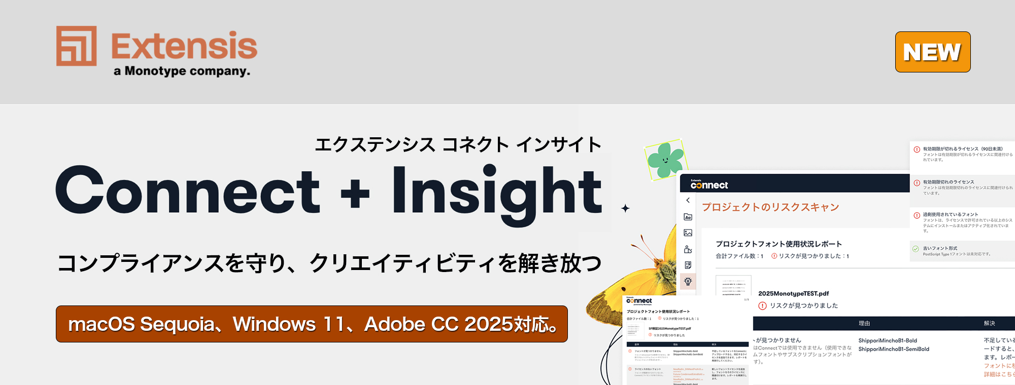 Extensis Connect Insight