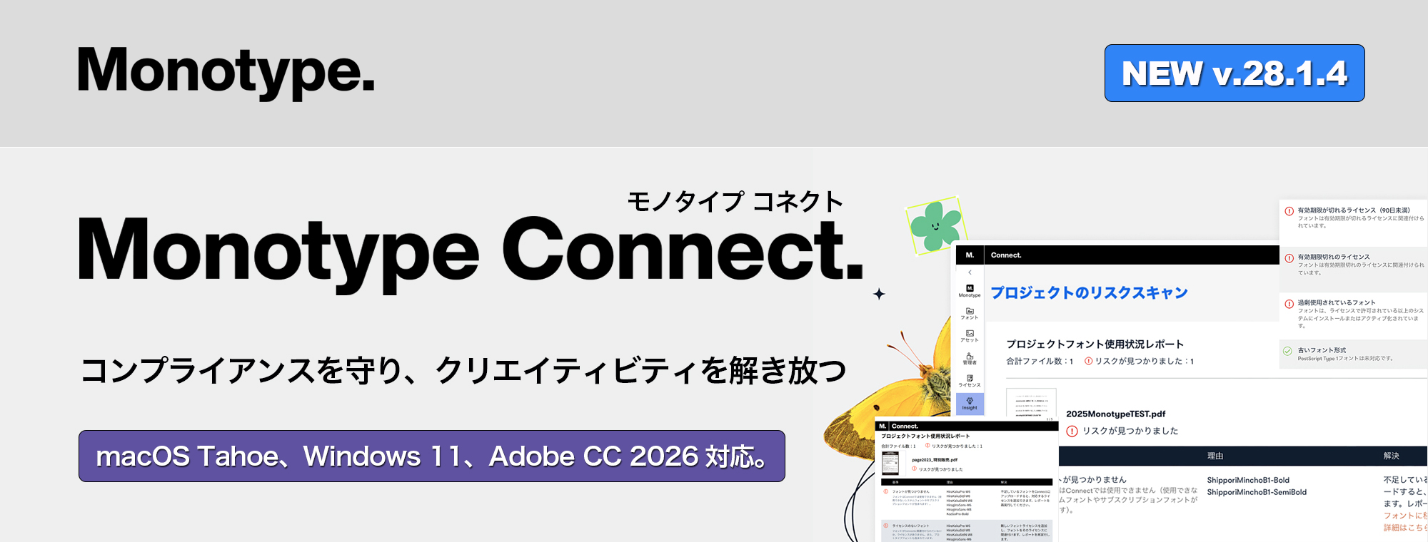 Extensis Connect
