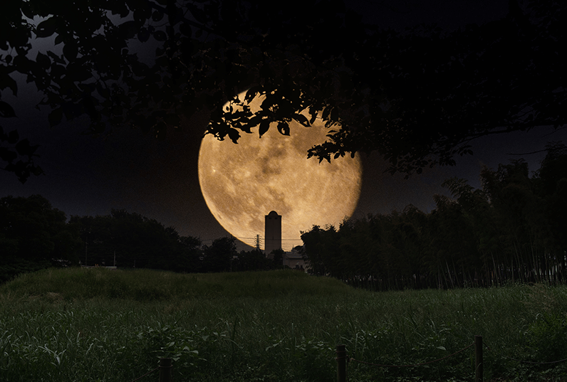 Ai搭載の画像編集ソフト Luminar 4 ルミナー ソフトウェア トゥー