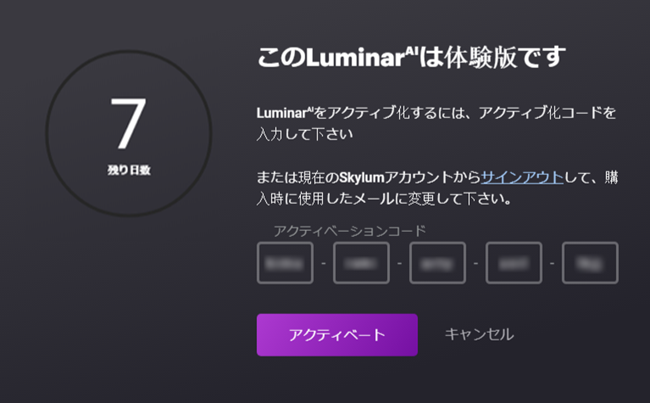 1799円 完全送料無料 Luminar 4永続ライセンス 日本語版 Windows Mac対応 ルミナー４