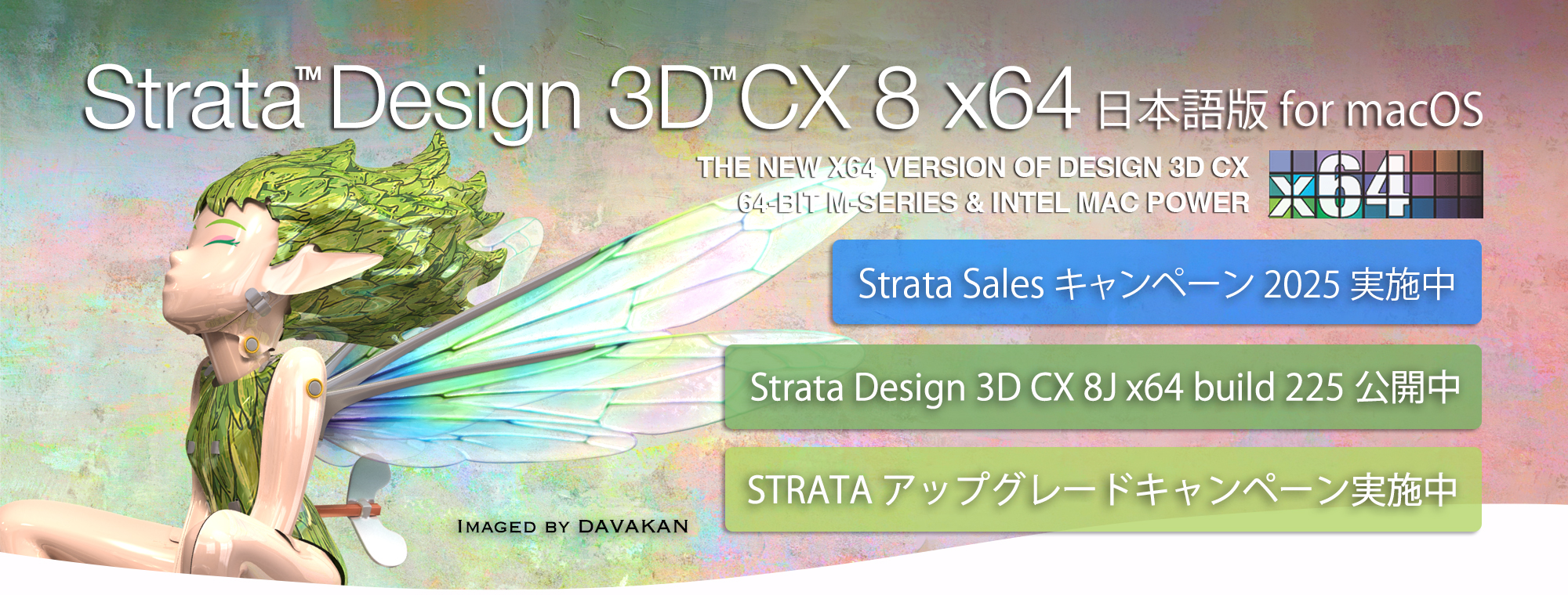 STRATA SALEキャンペーン2025
